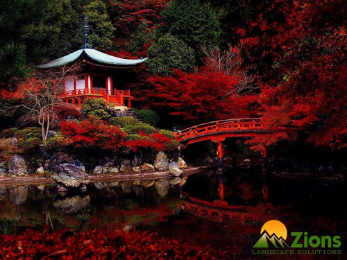 Thiết Kế Và Thi Công Sân Vườn Nhật