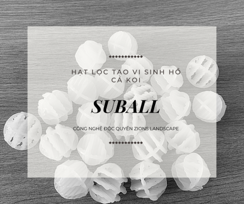 Hạt Suball Vật Liệu Lọc Tạo Vi Sinh Cho Hồ Koi  