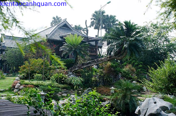 thiết kế sân vườn nhiệt đới 