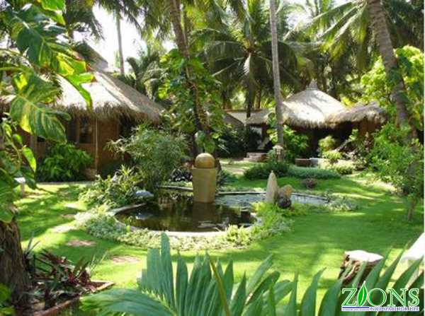 thiết kế sân vườn nhiệt đới