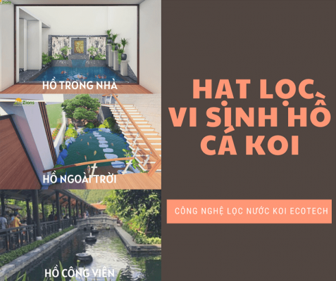 Hướng Dẫn Cách Chọn Hạt Lọc Vi Sinh Cho Hồ Koi