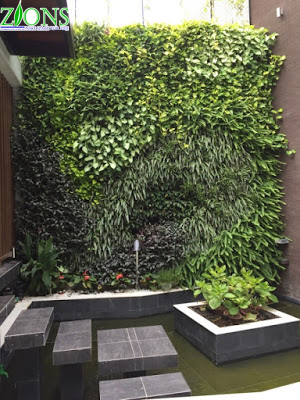 Thiết kế và thi công vườn đứng tại biệt thự nhà chị Minh - khu đô thị Ciputra